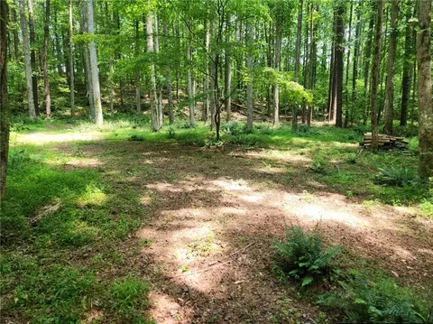 0 Pleasant Union Rd, Jasper, GA 30143 photo 4
