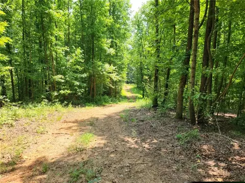 0 Pleasant Union Rd, Jasper, GA 30143 photo 5
