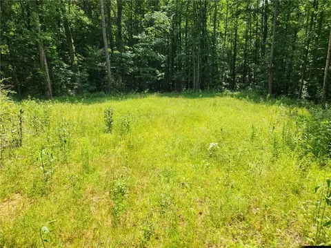 0 Pleasant Union Rd, Jasper, GA 30143 photo 3