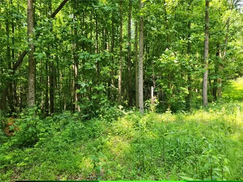 0 Pleasant Union Rd, Jasper, GA 30143
