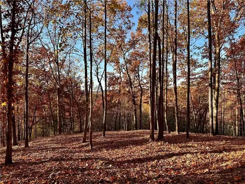 963 Meeting Ct, Ranger, GA 30734