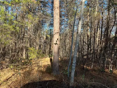 00 Blackburn Lot 4 Rd, Dawsonville, GA 30534