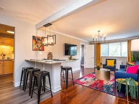 215 Piedmont Ave NE #302, Atlanta, GA 30308