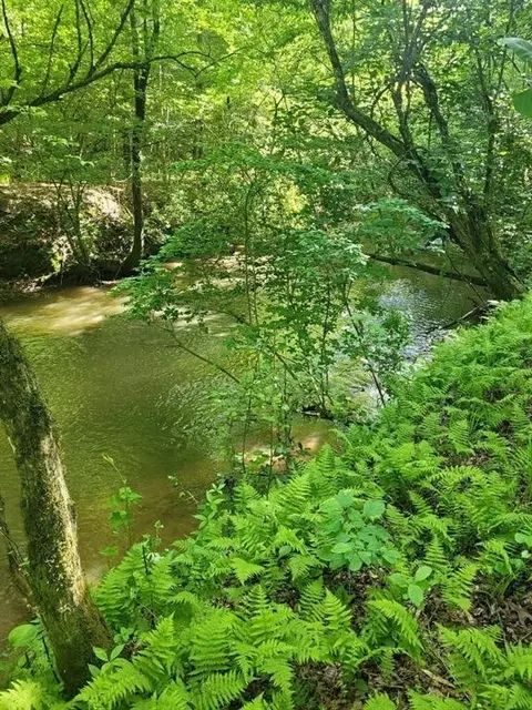 115 Hurricane Creek Rd, Dahlonega, GA 30533
