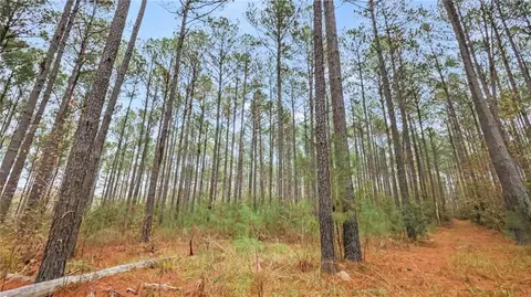 943 Hunter Rd, Ellaville, GA 31806