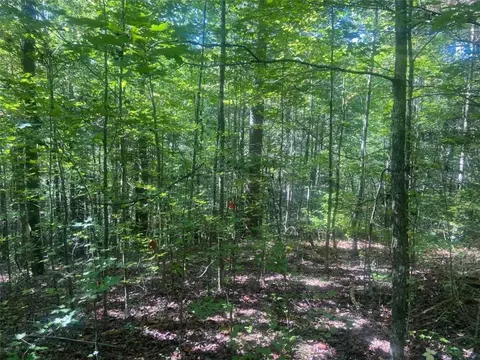 0 Conasauga Dr, Ellijay, GA 30540