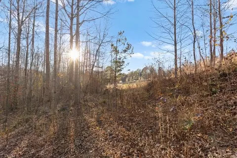 Undisclosed, Lula, GA 30554 photo 14