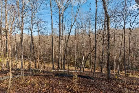 Undisclosed, Lula, GA 30554 photo 13