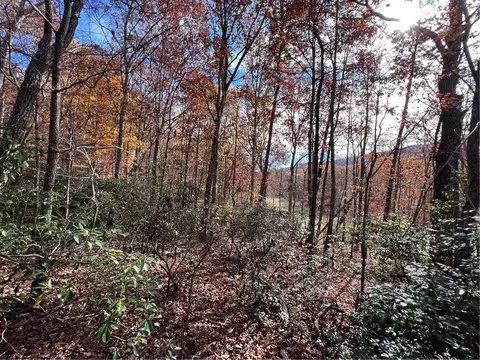 0 Fairway Ct, Jasper, GA 30143 photo 10