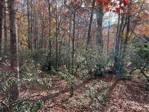 0 Fairway Ct, Jasper, GA 30143 photo 7