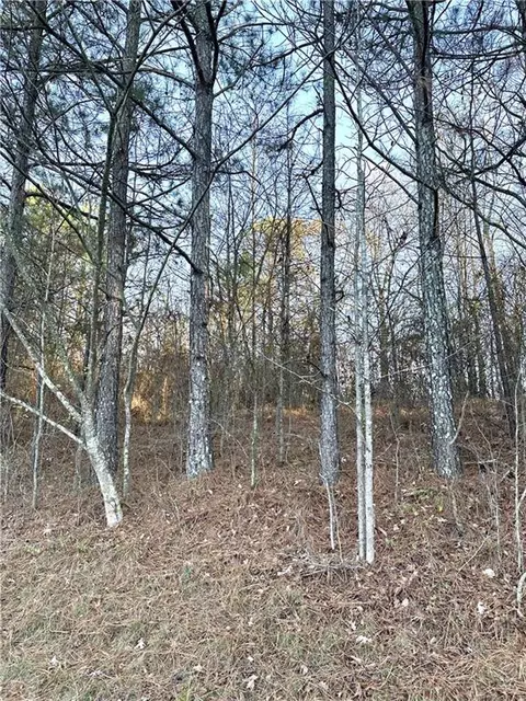 lot16 Meadow Lakes Ter, Cedartown, GA 30125