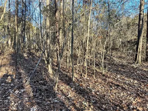 115 Joy Dr SW, Cave Spring, GA 30124 photo 11