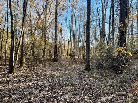 115 Joy Dr SW, Cave Spring, GA 30124 photo 15