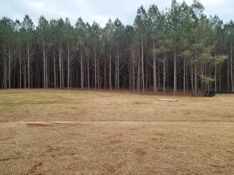821 Cattle Barn Rd, Monroe, GA 30656 photo 6