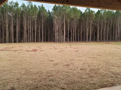 805 Cattle Barn Rd, Monroe, GA 30656 photo 2
