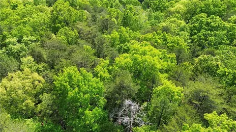 0 Brookside Pt, Jasper, GA 30143 photo 3