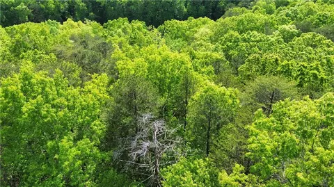 0 Brookside Pt, Jasper, GA 30143