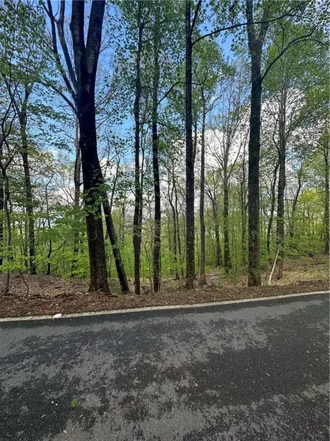 0 Brookside Pt, Jasper, GA 30143 photo 14