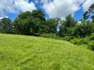 0 Prather Bridge Rd, Toccoa, GA 30577 photo 7