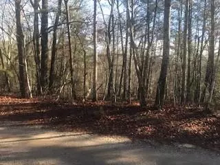240 Rudy Wooten Rd, Clarkesville, GA 30523