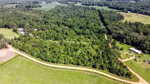 0 Patillo Rd, Jackson, GA 30233 photo 8