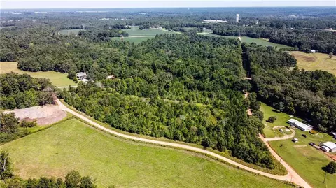 0 Patillo Rd, Jackson, GA 30233 photo 3