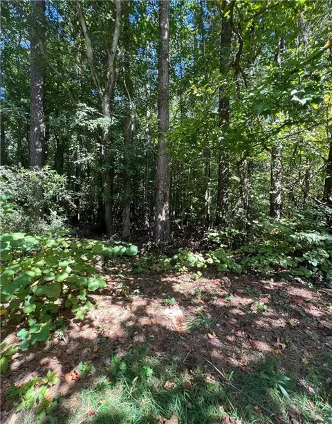 4510 Bale Ct, Snellville, GA 30039