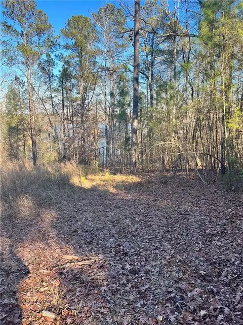 0 Bluff Rd, Elberton, GA 30635