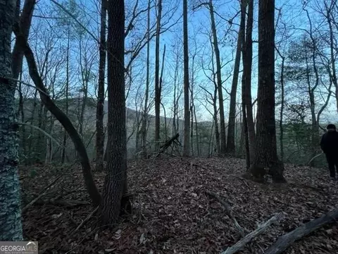 9 Sara Lane, Sautee Nacoochee, GA 30571