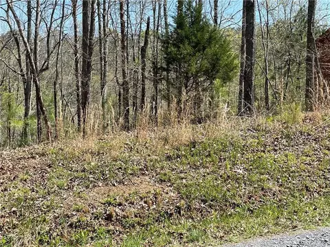 1672 Hunter Dr, Ranger, GA 30734