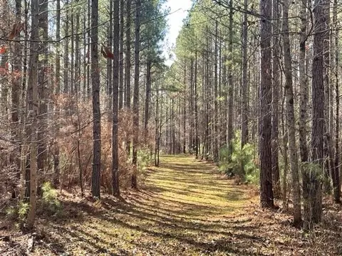 0 Banning Rd, Whitesburg, GA 30185