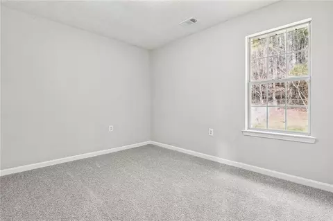 230 Steele Branch Ct, Hampton, GA 30228 photo 19
