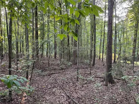 9179 Malcolm Dr, Covington, GA 30014 photo 11