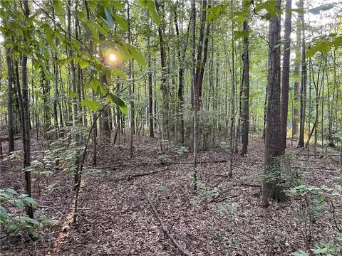 9179 Malcolm Dr, Covington, GA 30014 photo 10
