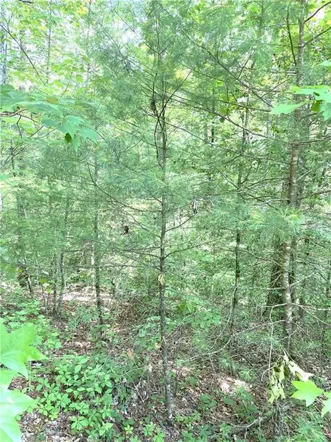 L30 Amelia Drive, Ellijay, GA 30540