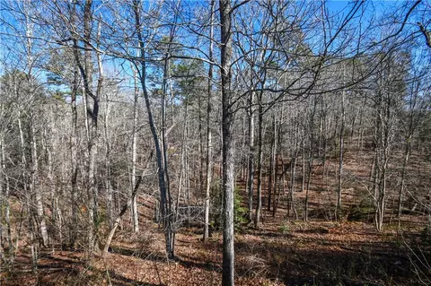 190 Maple Ridge Dr, Demorest, GA 30535 photo 29