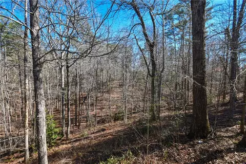 190 Maple Ridge Dr, Demorest, GA 30535 photo 30