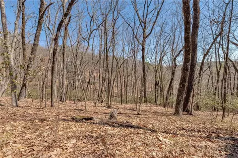 1612 Duchess Ln, Clarkesville, GA 30523 photo 18