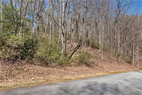 1612 Duchess Ln, Clarkesville, GA 30523 photo 15