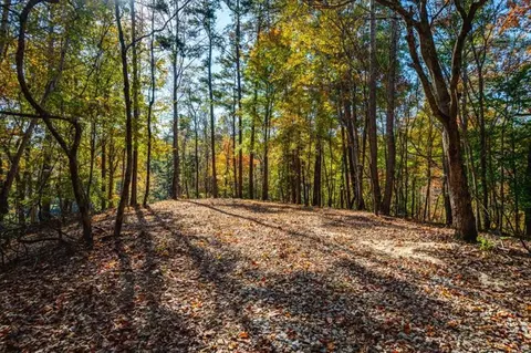0 Everett Mountain Rd, Rockmart, GA 30153 photo 17