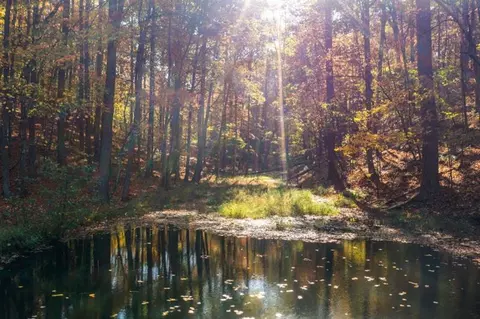 0 Everett Mountain Rd, Rockmart, GA 30153 photo 6