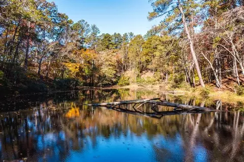 0 Everett Mountain Rd, Rockmart, GA 30153 photo 8