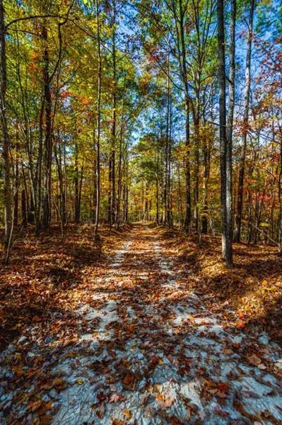 0 Everett Mountain Rd, Rockmart, GA 30153 photo 14
