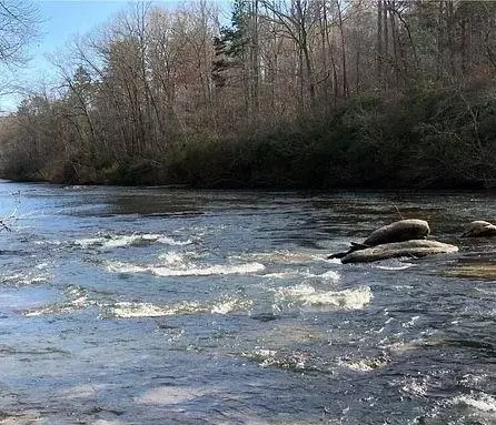 15 River Run Trl, Cornelia, GA 30531 photo 5