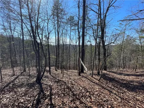 0 Long Branch Rd # -0, Ranger, GA 30734