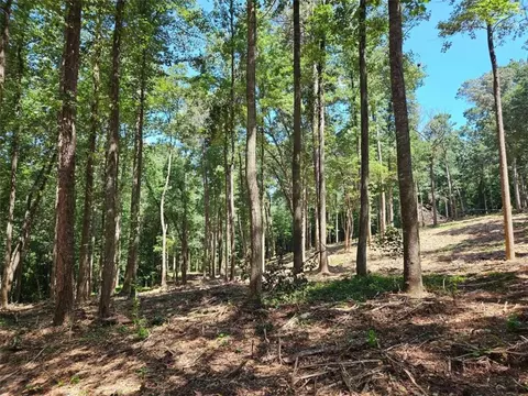 00 Whitetrail Ridge Tract 1, Dawsonville, GA 30534