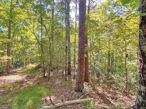 3 Ac Winters Mountain Rd, Dahlonega, GA 30533