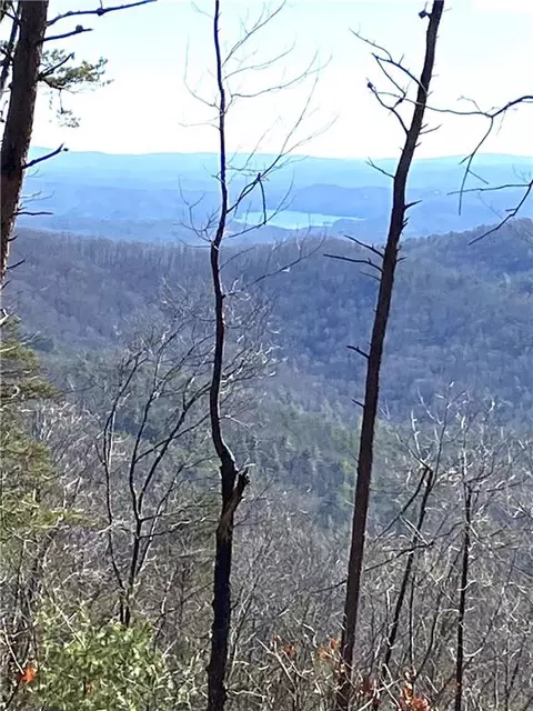 5445 Brushy Top Dr, Ellijay, GA 30540
