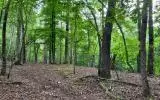 1 39a Parody Cir, Ellijay, GA 30540