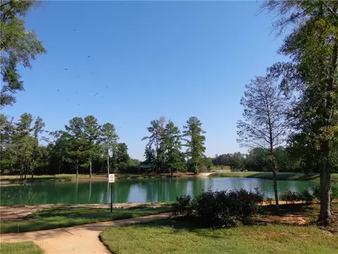 11746 Chatham Dr, Hampton, GA 30228 photo 28